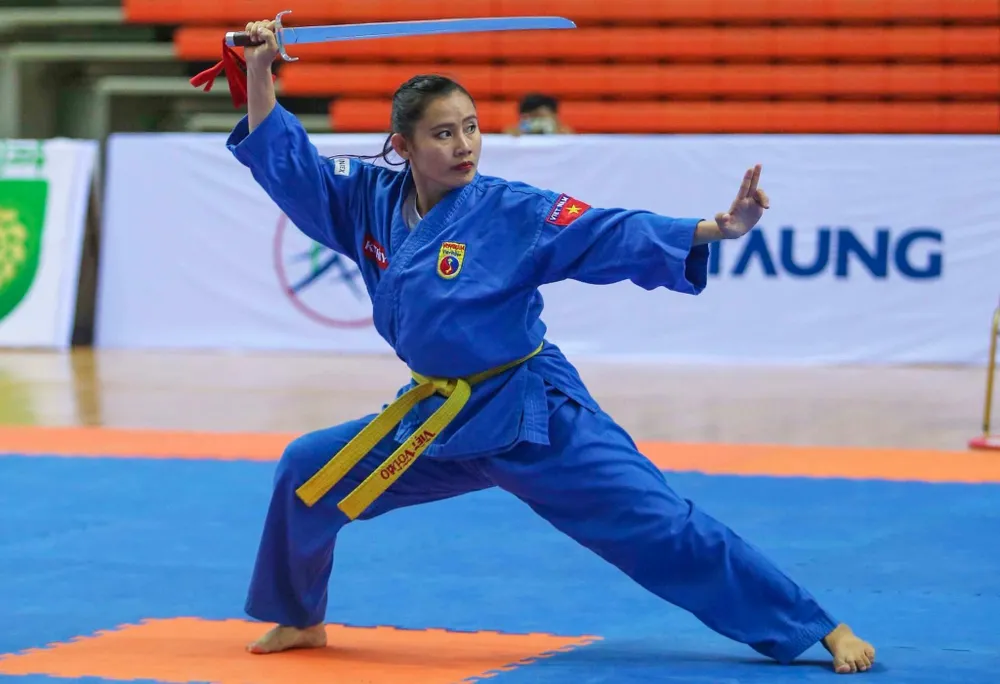 Thành lập Liên đoàn Vovinam Việt Võ Đạo TPHCM ảnh 2