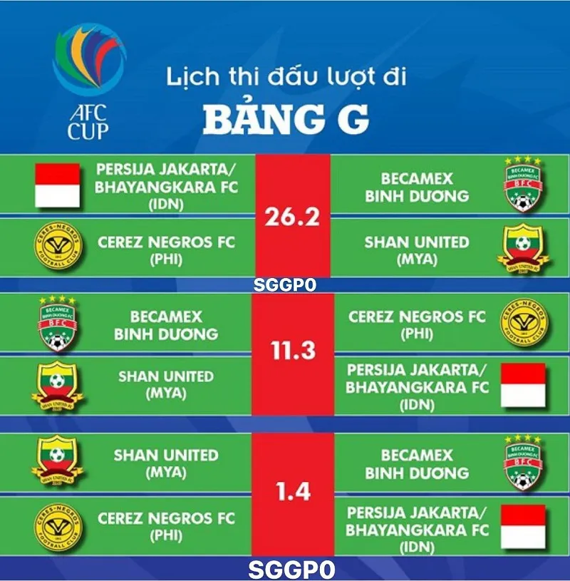 Becamex Bình Dương sang Indonesia ảnh 3