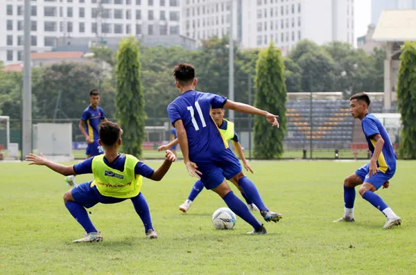 U15 Việt Nam tham dự giải vô địch Đông Nam Á 2019 ảnh 1