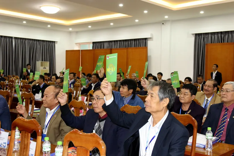 VFF sẽ sớm có tân Phó chủ tịch phụ trách tài chánh ảnh 1