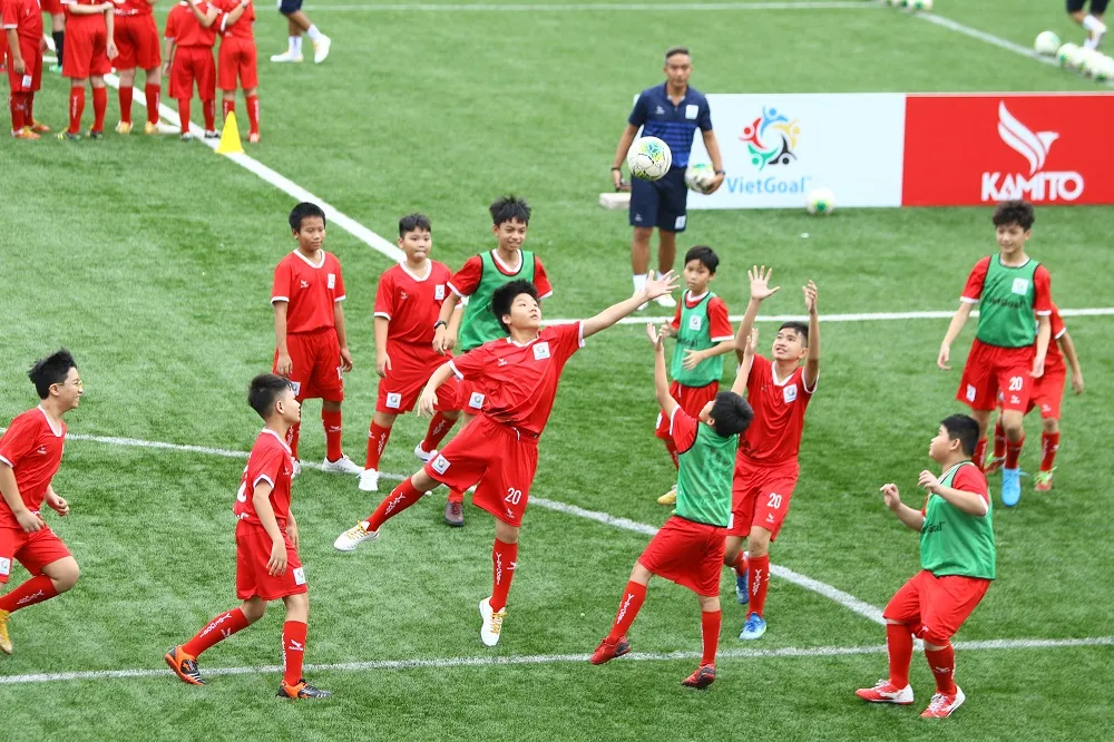 Dàn tuyển thủ Việt Nam so tài cùng gần 2.000 cầu thủ nhí ảnh 1