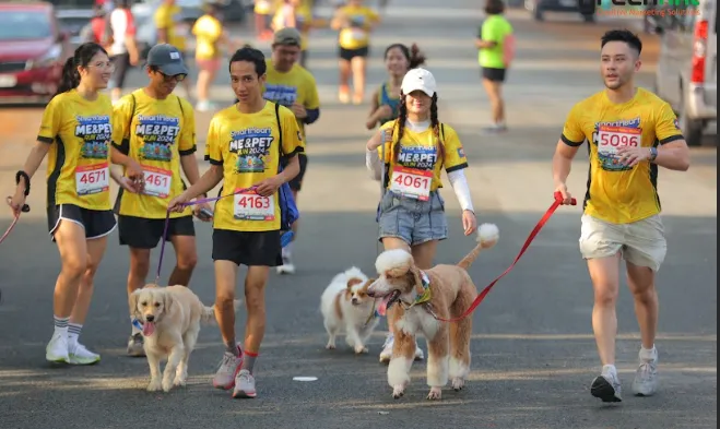 Screenshot (155).png