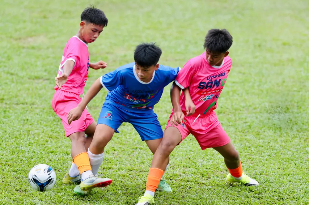 5d757a2f-9823-4fe0-ab52-0cfda9f6a81e.jpg