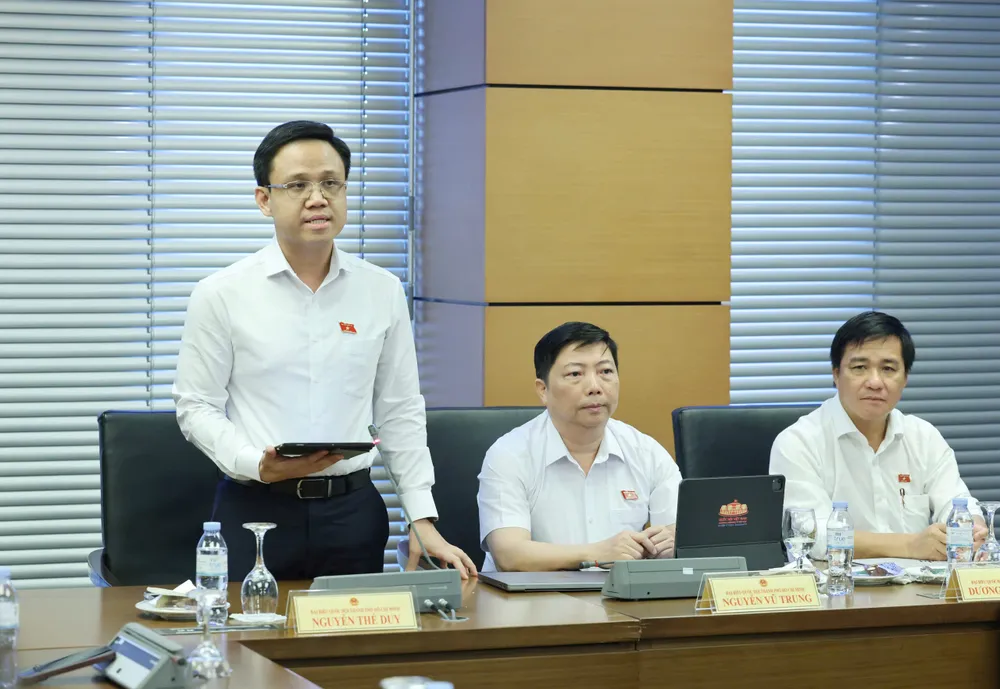Đại biểu Nguyễn Thế Duy phát biểu tại phiên thảo luận.