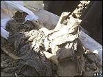 Mass grave unearthed in Iraq city ảnh 1