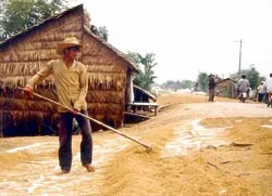 Thất thoát sau thu hoạch lúa - Lỗi và trách nhiệm của “4 nhà”. Bài 2: Chuyện ghi ở vựa
