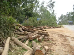 Truông Bồn (Nghệ An):Vẫn chưa im… tiếng “bom”! ảnh 2