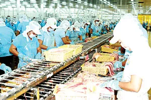 Bấp bênh cá da trơn