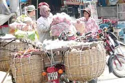 Hàng bông vượt biên giới