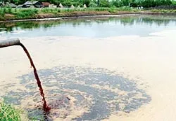 ĐBSCL: Phát triển kinh tế - xã hội phải đồng hành bảo vệ môi trường