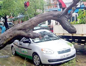 Đà Nẵng: Cây ngã đè bẹp taxi, 1 người nước ngoài bị thương