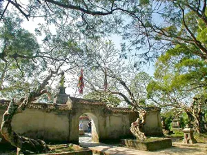 Chàng trai ấy ảnh 3