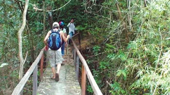 Khám phá - Du lịch: “Con đường mới” - đến với thiên nhiên ảnh 2