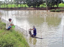 Bài 1: Rơm rạ khó giữ được người quê!