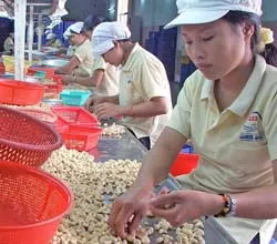 Khốn đốn với... điều