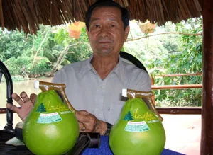 Năm “gàn” làm du lịch