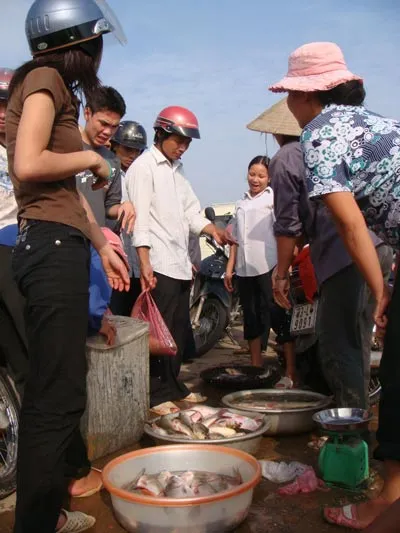 Hà Nội “hậu” lũ lụt: Cá rẻ như... bèo