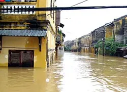 Nhà cổ Hội An: Lưu giữ dấu xưa ảnh 2