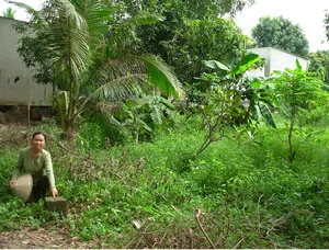 Dự án treo ở phường Bình Chiểu, quận Thủ Đức: Phường nói xóa, quận nói không!