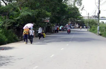 Khu đại học quốc gia TPHCM: Trộm cắp lộng hành!