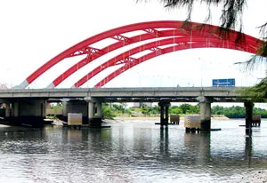 Sông Cần Giuộc… kêu cứu ảnh 2