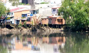 Sông Cần Giuộc… kêu cứu