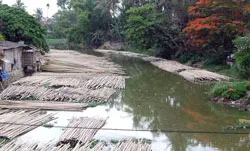 Chợ lâm sản cầu Cốc (Thanh Hóa) ô nhiễm