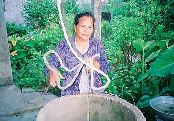 30 năm son sắt một tình yêu