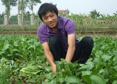 Thật, giả rau an toàn sau lũ