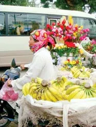 Viết tiếp về thuốc ủ chín hoa quả chỉ sau 1 đêm - Có thuốc, trái non cũng chín!