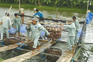 Công ty cổ phần thủy sản Hùng Vương xây dựng thương hiệu bằng chữ tâm ảnh 3