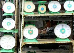 Những chiếc cân “phù thủy” ảnh 2