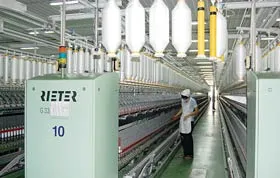 Vực dậy cây bông vải: Nổi không?