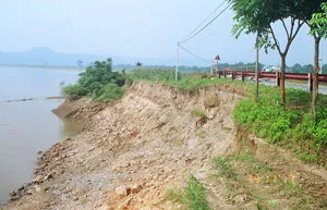 Đê sông Mã kêu cứu…