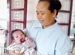 Nơi ươm mầm sống