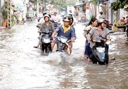 Ông Lê Hoàng Châu, Chủ tịch Hiệp hội Bất động sản TPHCM: Nhiều nhà đầu tư đang “ăn” vào hạ tầng hiện hữu ảnh 2
