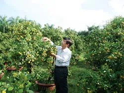 Hoa trên đất "thép" ảnh 2