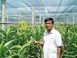 Hoa trên đất "thép"