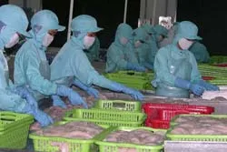 Vụ 300 công nhân ngừng việc tại Công ty CP Thủy sản Bình An (Bianfishco): Có đối tượng xấu kích động, gây rối ảnh 2