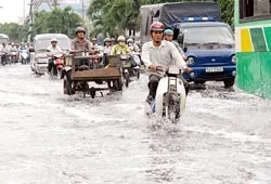 Quy định cốt nền xây dựng: Chỉ là một trong nhiều giải pháp chống ngập