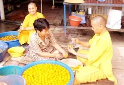 Nơi mùa xuân đến sớm