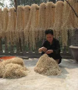 Làng nghề mây, tre đan - Nguy cơ giải thể 40% cơ sở