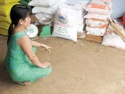 Đắc Lắc có “làng ruồi”?