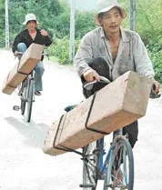 Tan nát rừng Vạn Ninh