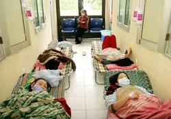 Dịch tiêu chảy cấp nguy hiểm có thể lan vào miền Trung và miền Nam