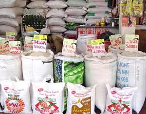 Chợ Gạo, Tiền Giang: Nhiều tiểu thương ngừng buôn bán do thuế cao