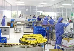 Thực hiện GMP các nhà máy sản xuất thuốc thú y, quá nhiều bất cập