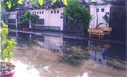 Khu dân cư mới xã Bình Hưng : trên không điện, dưới ngập nước