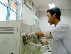 Chuyển đổi theo Nghị định 115: “Khoán 10” đang vào thành phố