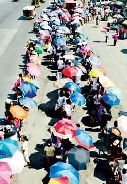 Diễn đàn Công nghệ nông nghiệp toàn cầu - Giá lương thực tăng, nguy cơ bất ổn sẽ lan rộng
